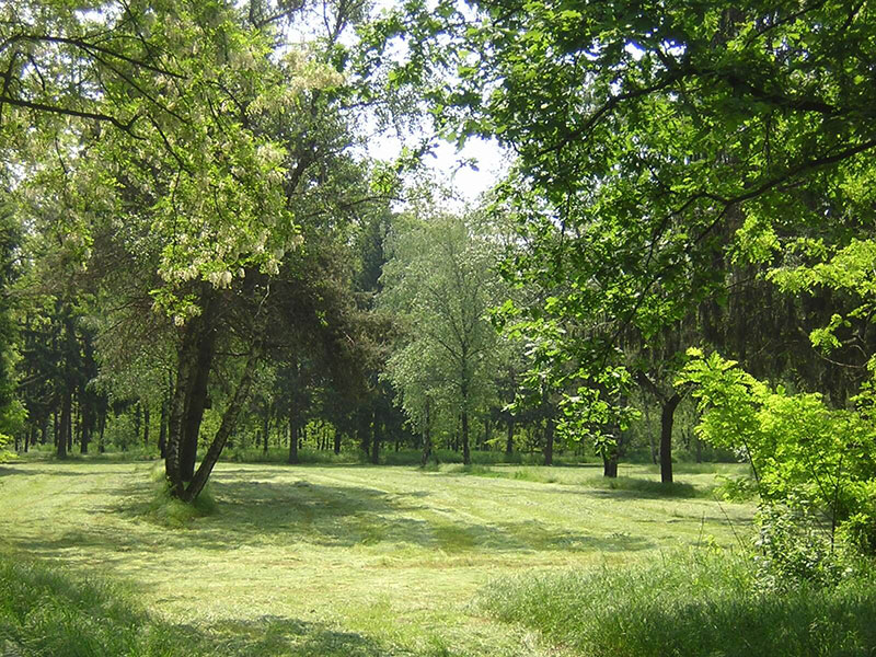 Parco del Roccolo - Canegrate